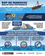 ROP de mariscos: reglas para protegerlos